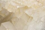Large Quartz Crystal Cluster - Brazil #225169-5